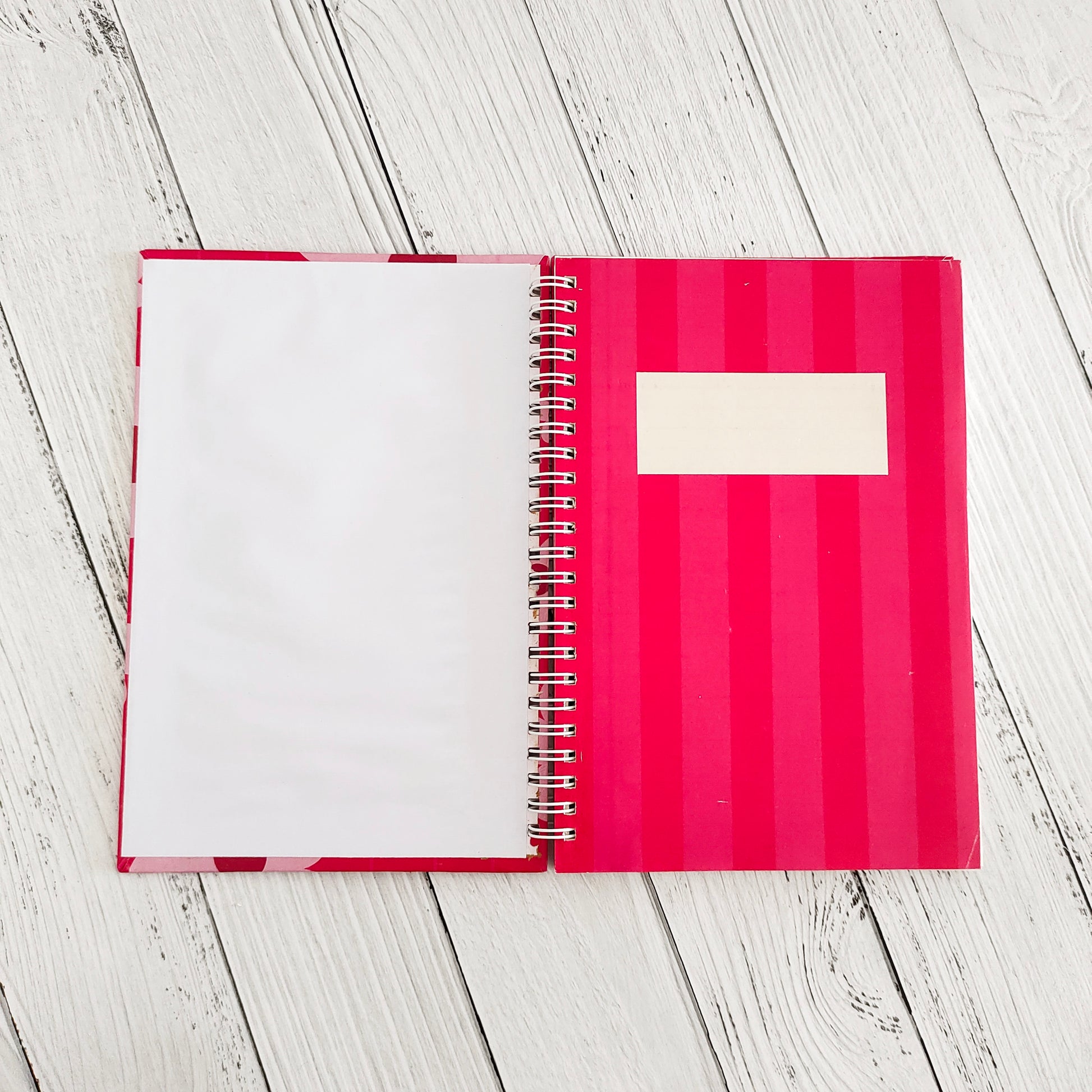 One day at a time ruled journal