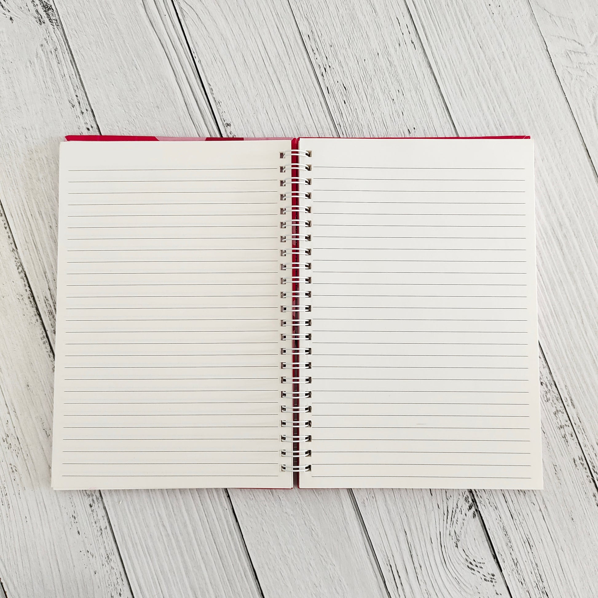 One day at a time ruled journal