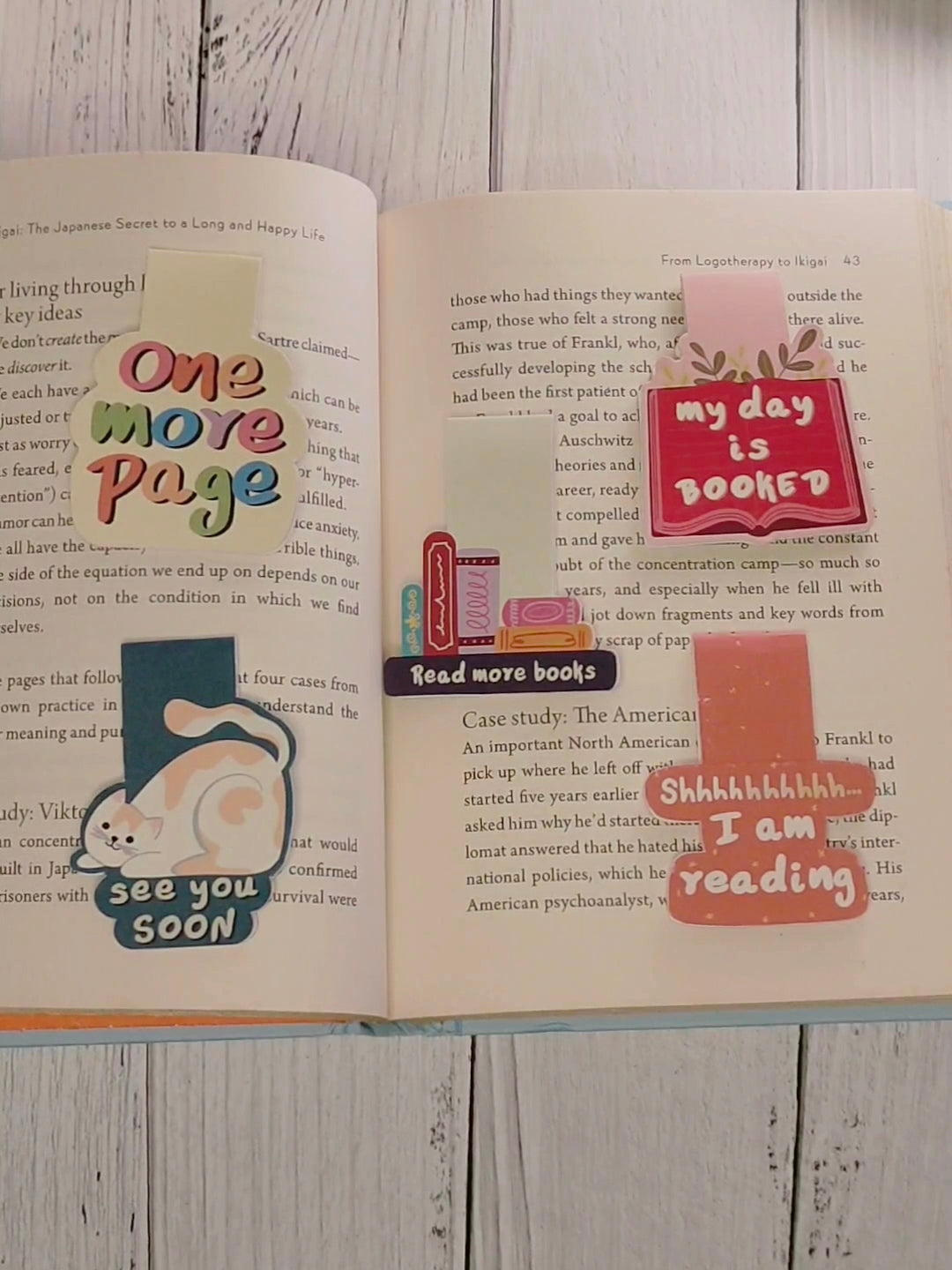Fun Bundle 3 Magnetic Bookmarks